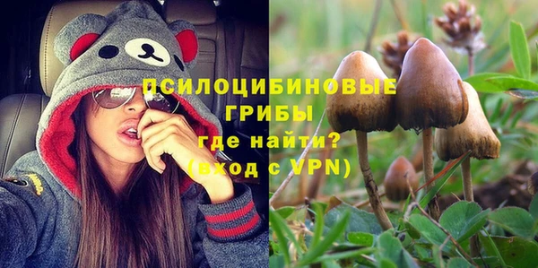 МДПВ Вязьма