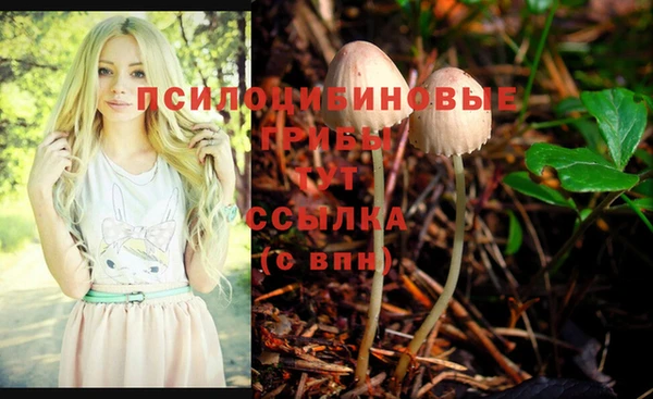 МДПВ Вязьма