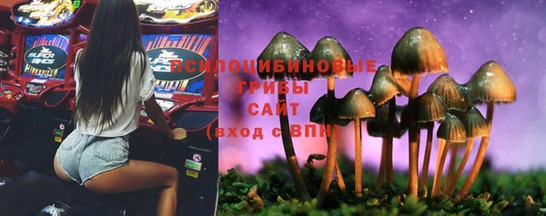 СК Снежинск