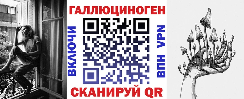 Галлюциногенные грибы Psilocybine cubensis  Горно-Алтайск 